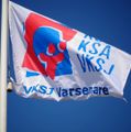 Vorige vlag VKJS Varsenare.JPG